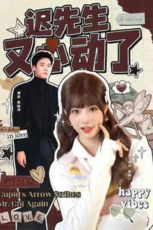 迟先生又心动了 poster