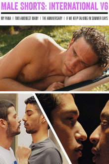 Male Shorts: International V6 poster