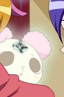 Find the Clover Box!!