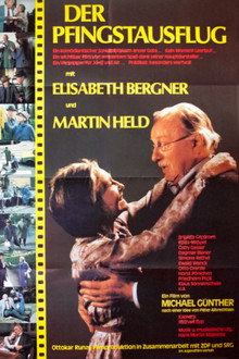 Der Pfingstausflug poster