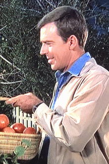 Sam the Expert Farmer