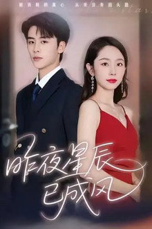 昨夜星辰已成風 poster
