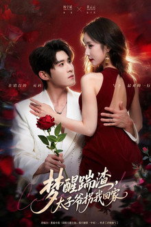 梦醒踹渣，太子爷拐我回家 poster