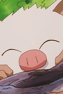 Primeape Goes Bananas