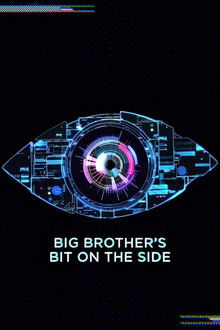 Big Brother's Bit on the Side poster