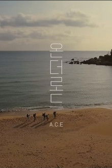 A.C.E On The Road poster