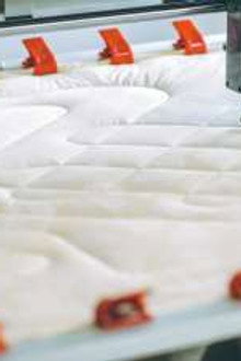 Beds-Hastens, Satellites, Indoor Salads