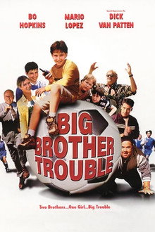 Big Brother Trouble poster