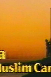 India: The Muslim Card