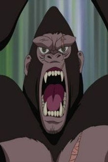 Land Ahoy! Is this the Paradise Island?