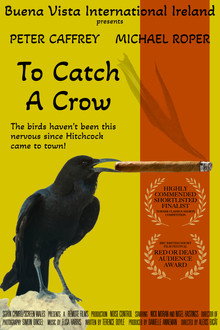 To Catch a Crow poster