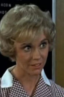 Howard the Dream Spinner