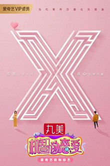 The Secret X poster