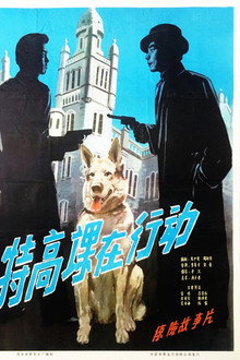 The Secret Service in Action poster