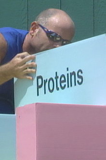 Food Competition & Nominations