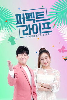 퍼펙트 라이프 poster