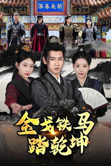 金戈铁马踏乾坤 poster