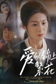 爱似锦上繁花 poster