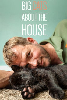Big Cats About The House poster