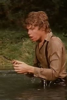 The Gold-Plated Rifle