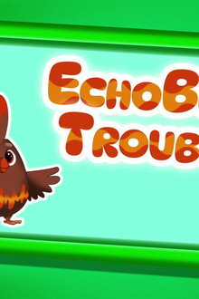 Echobird Trouble