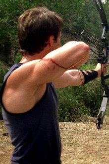 The Target