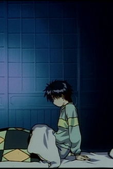 Evergreen Holy Night