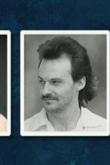 Cats, Flies, and Snapshots