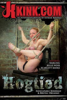 Hogtied poster