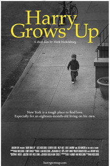 Harry Grows Up poster