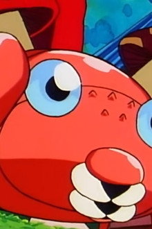 The Problem with Paras