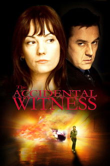 The Accidental Witness poster
