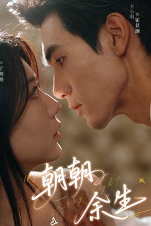 朝朝余生 poster