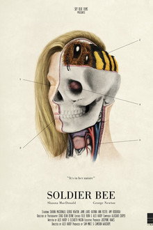Soldier Bee poster