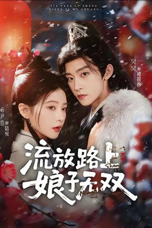 流放路上，娘子无双 poster