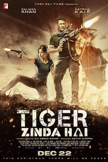 Tiger Zinda Hai (2017)