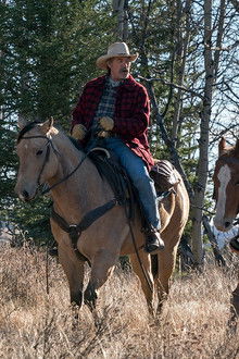 A Place to Call Home