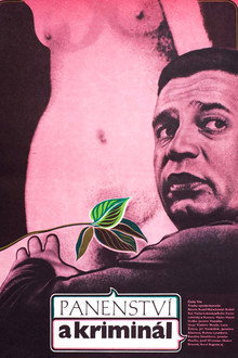 Panenství a kriminál poster