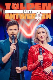 Tulpen uit Antwerpen poster