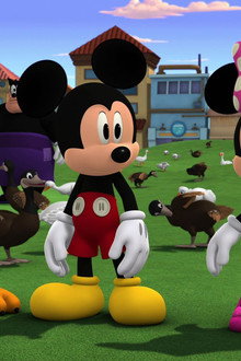 Duck, Duck Geese!