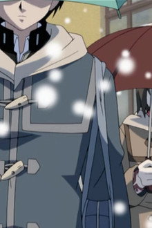 A Great Tragic Love! The Sleeting Snow of Love and Yearning