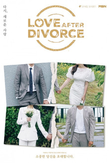 Love After Divorce poster