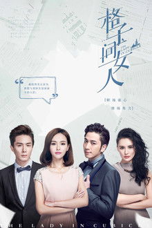 The Lady In The Cubicle poster