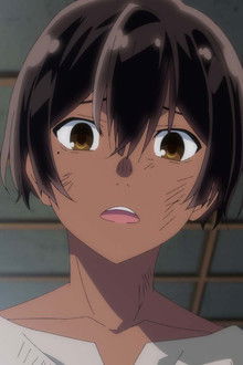 Reincarnation and Appraisal