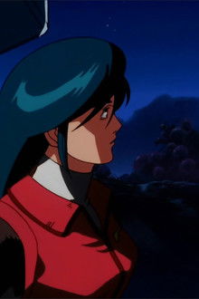 Flowers in the Battlefield