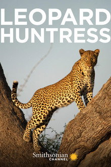 Leopard Huntress poster