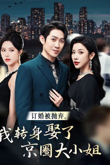 订婚被抛弃，我转身娶了京圈大小姐 poster