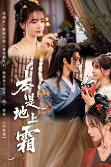 本是地上霜 poster