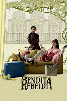 Accidental Blessings poster