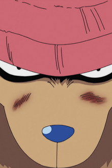 Zoan-type Devil Fruit! Chopper's Seven-form Transformation!